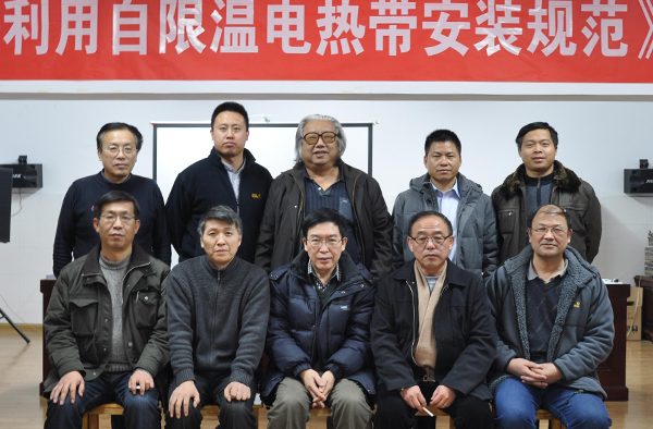 91视频APP下载集团主编太阳能电热带行业标准通过专家审定(图1)