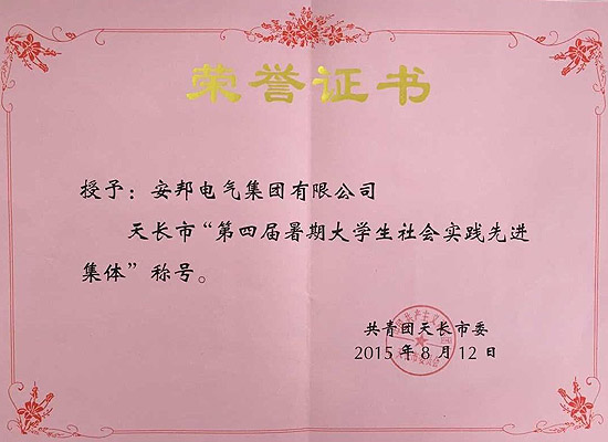 91视频APP下载集团荣获天长市“第四届暑期大学生社会实践先进集体”称号(图1)