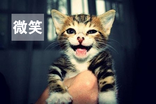 用心感受世界，因活着而幸福(图1)