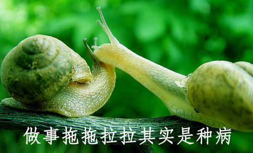 拒绝拖延从今天开始，明天会更好(图4)