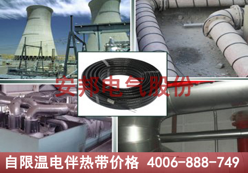 自限温电91视频网站在线观看带价格揭秘