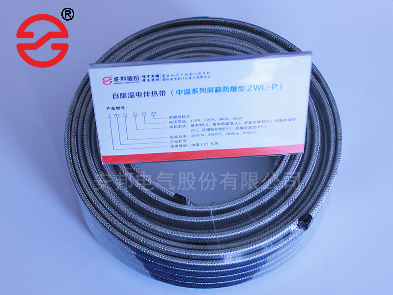 电91视频网站在线观看带产品