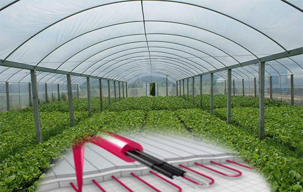 植物栽培电91视频网站在线观看带保温促生长