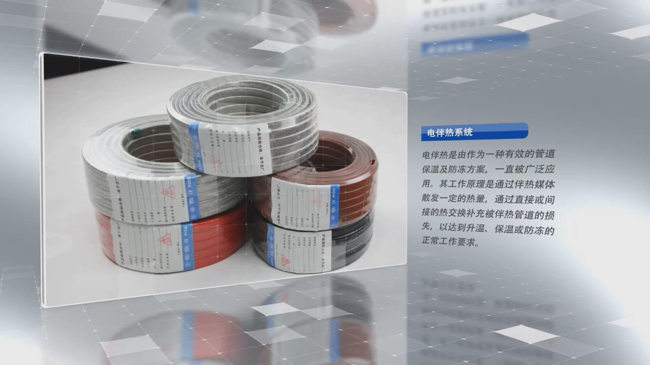 电91视频网站在线观看带