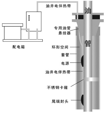 DXW-PF石油行业专用油井电91视频网站在线观看带电热带(图3)