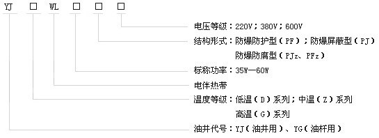 DXW-PF石油行业专用油井电91视频网站在线观看带电热带(图2)