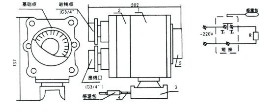 电91视频网站在线观看BJW51防爆温度控制器(图2)