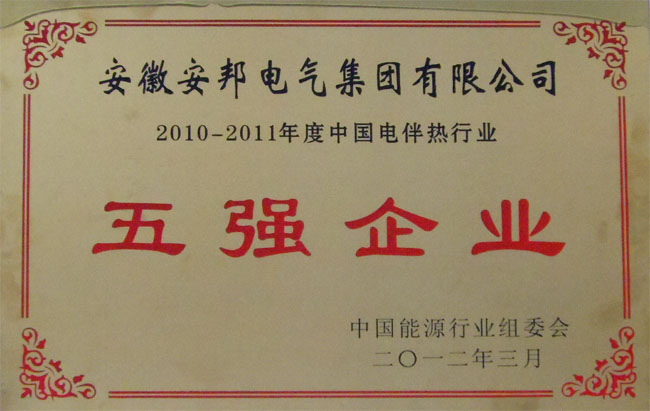 中国电91视频网站在线观看行业五强企业
